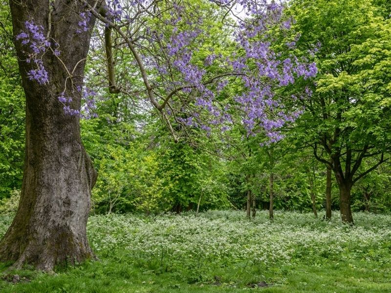 spring months
