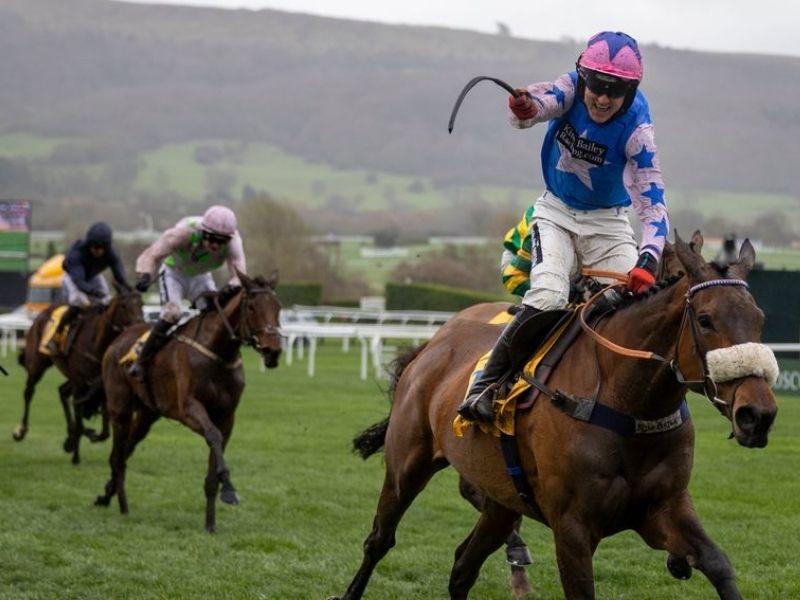 horses on the grand national 2026