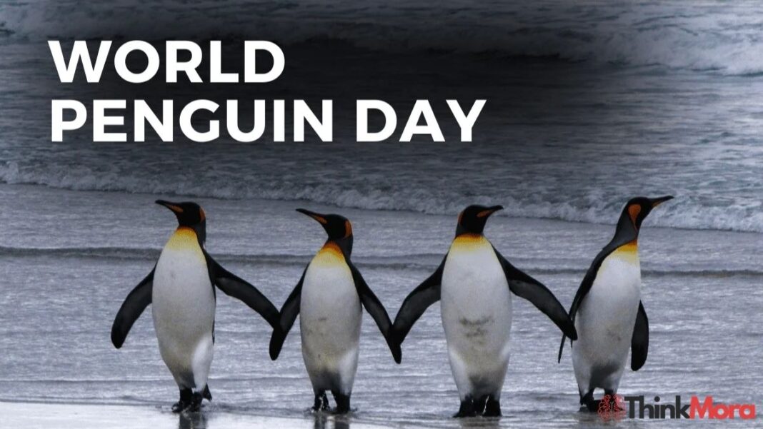 World Penguin Day: Why It Matters & Fascinating Facts Revealed